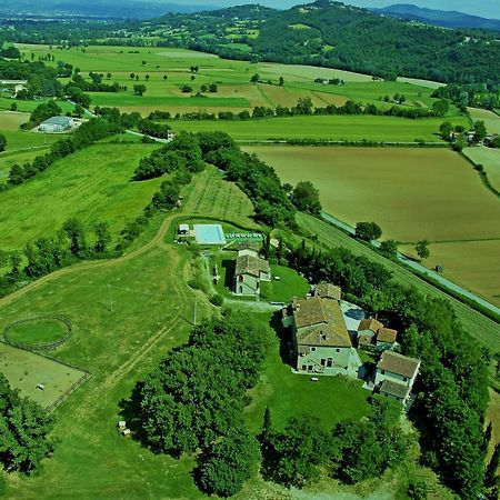 Penzion Agriturismo Il Sasso Anghiari Exteriér fotografie