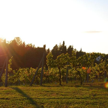 Penzion Agriturismo Il Sasso Anghiari Exteriér fotografie