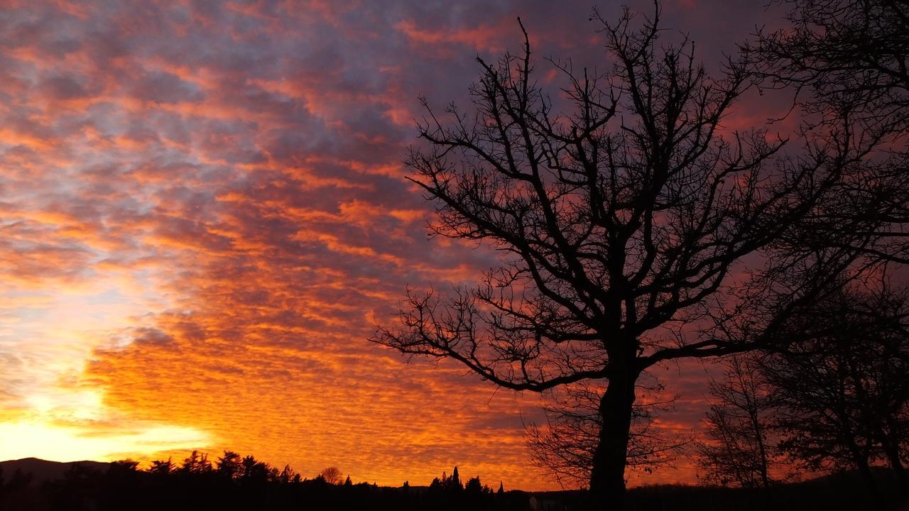 Penzion Agriturismo Il Sasso Anghiari Exteriér fotografie